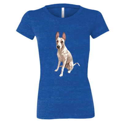 Hazel1 - Women's Triblend Tee (Retail Quality) Thumbnail