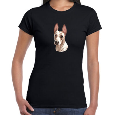 Hazel2 - Ladies Premium Cotton Tee Thumbnail