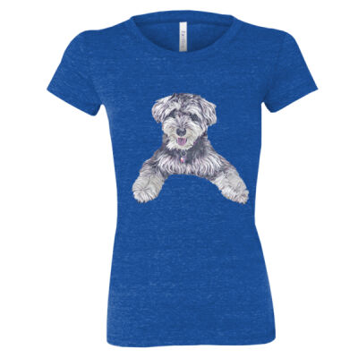 Nikko2 - Women's Triblend Tee (Retail Quality) Thumbnail