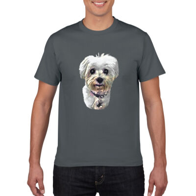 Pixie1 - Softstyle Tee Thumbnail