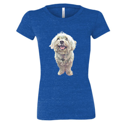 Pixie2 - Women's Triblend Tee (Retail Quality) Thumbnail