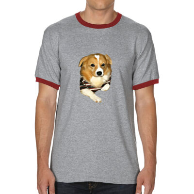 Dodo2 - Ringer Tee Thumbnail