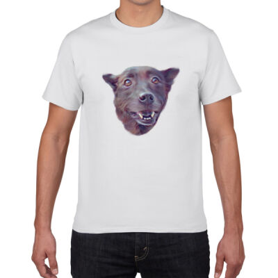 Charcoal - Gildan Premium Cotton Tee Thumbnail