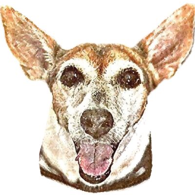 Untitled 3 Thumbnail