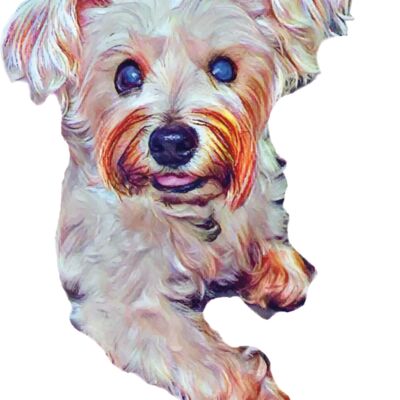 Christyne  Pepper  1 Thumbnail