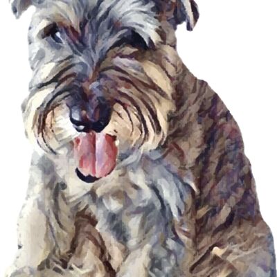 tikkicrown Thumbnail