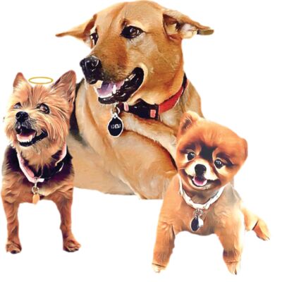 3Dogs Thumbnail