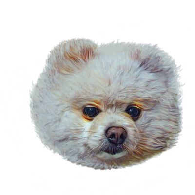 Untitled 1 bak Thumbnail