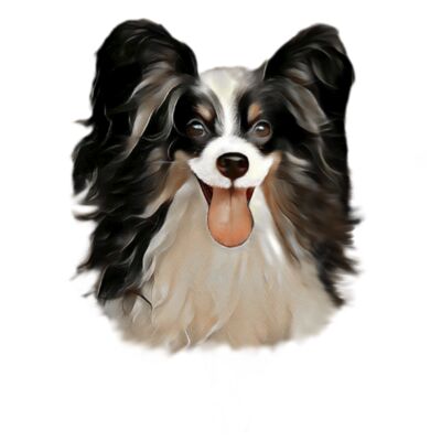 ollie41 bak Thumbnail