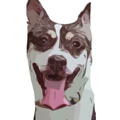 adora3pocket Thumbnail