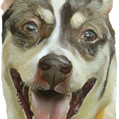 adora7short Thumbnail