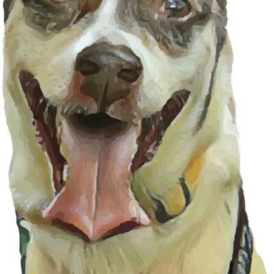 adora7short Thumbnail