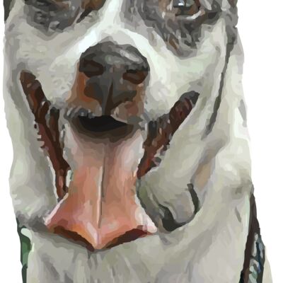 adora7short 01 1 Thumbnail