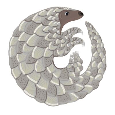 pangolin1x Thumbnail