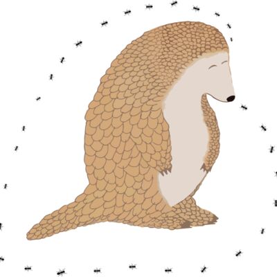 pangolins5 Thumbnail