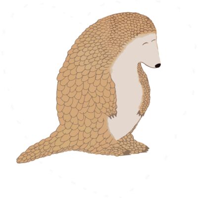 pangolins5a Thumbnail