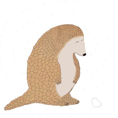 pangolins5b Thumbnail