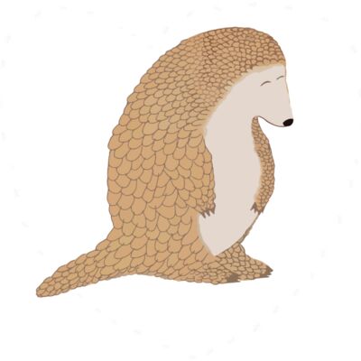 pangolins5a Thumbnail