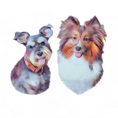 HappyXLassie2 Thumbnail