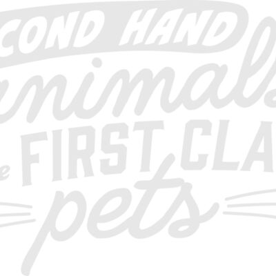 HDR Back white Thumbnail