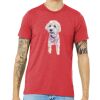 Unisex Triblend Tee (same day) Thumbnail