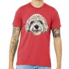 Unisex Triblend Tee (same day) Thumbnail
