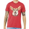Unisex Triblend Tee (same day) Thumbnail