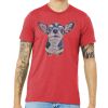 Unisex Triblend Tee (same day) Thumbnail