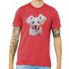 Unisex Triblend Tee (same day) Thumbnail