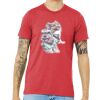 Unisex Triblend Tee (same day) Thumbnail