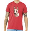 Unisex Triblend Tee (same day) Thumbnail