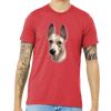 Unisex Triblend Tee (same day) Thumbnail