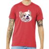 Unisex Triblend Tee (same day) Thumbnail