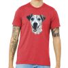 Unisex Triblend Tee (same day) Thumbnail