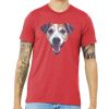 Unisex Triblend Tee (same day) Thumbnail