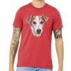 Unisex Triblend Tee (same day) Thumbnail