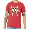 Unisex Triblend Tee (same day) Thumbnail