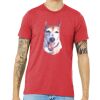 Unisex Triblend Tee (same day) Thumbnail