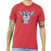 Unisex Triblend Tee (same day) Thumbnail