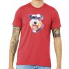 Unisex Triblend Tee (same day) Thumbnail