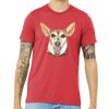 Unisex Triblend Tee (same day) Thumbnail