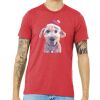 Unisex Triblend Tee (same day) Thumbnail