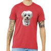 Unisex Triblend Tee (same day) Thumbnail