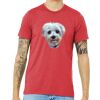 Unisex Triblend Tee (same day) Thumbnail