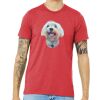 Unisex Triblend Tee (same day) Thumbnail