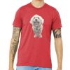 Unisex Triblend Tee (same day) Thumbnail