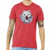 Unisex Triblend Tee (same day) Thumbnail