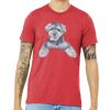 Unisex Triblend Tee (same day) Thumbnail
