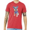 Unisex Triblend Tee (same day) Thumbnail