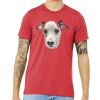 Unisex Triblend Tee (same day) Thumbnail